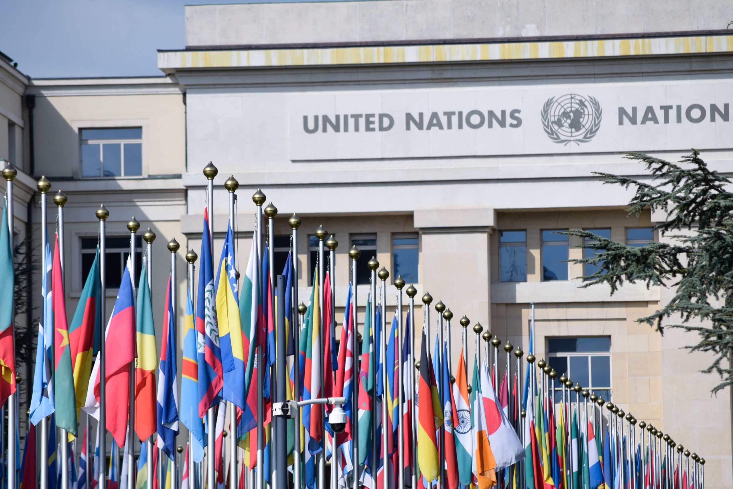 IMF Report Global Economy Avoids Recession