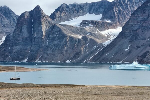 Greenland Stocks Surge