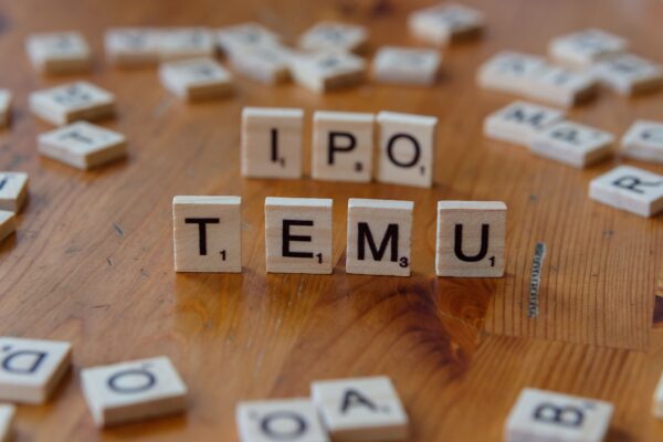 Anthropic IPO prospectus government risk