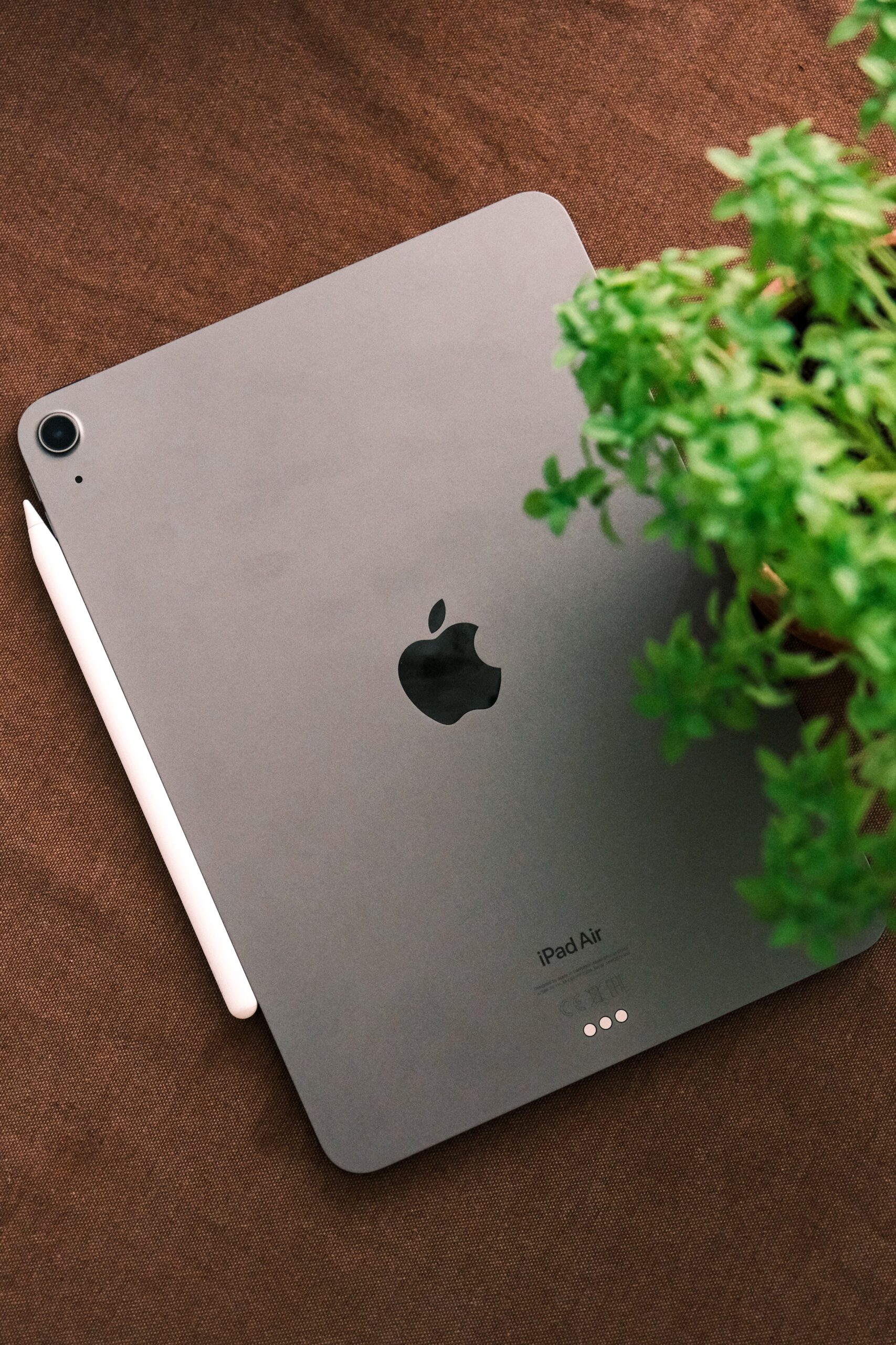 Apple smart home hub